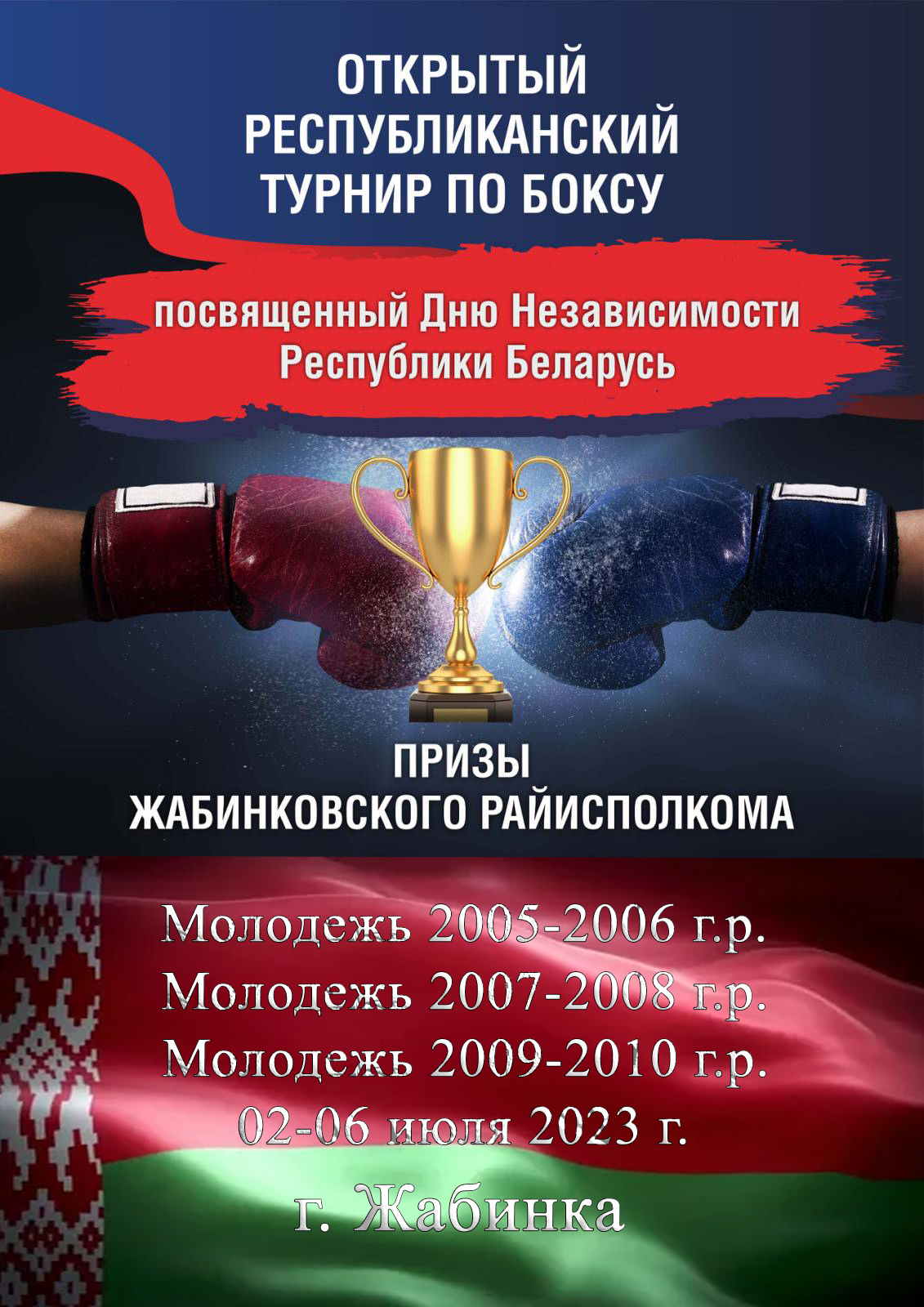 Подробнее о статье Открытый Республиканский турнир по боксу
