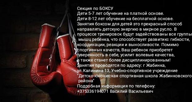 Подробнее о статье Секция по боксу
